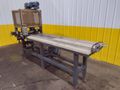 HORIZONTAL MOTORIZED CONVEYOR: STOCK #19562