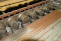 12 STATION ENGEL CAP RAIL AND S LOCK ROLLFORMER: STOCK #16861