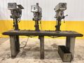 3-HEAD CLAUSING MODEL #1657 GANG DRILL W/ WORK TABLE: STOCK #20866