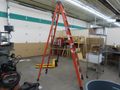 Werner 10' Model NXT1A10 Fiberglass Ladder- Auction Item