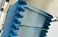 EMI Plastics Equipment  |  EAC12 - 48 - 40  |  12” x 48" Incline Belt Conveyor