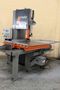FRIGGI MODEL FG-600-TS VERTICAL SAW: STOCK #70658