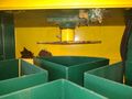 4 CHAMBER ENVIRO-PAK MODEL #R44 RECYCLING COMPACTOR: STOCK #16414