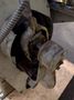 .072" X 1" COIL TORRINGTON MODEL #W-21 SPRING COILER / COIL MACHINE: STOCK #18722