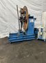 8000 LB X 12" FMC COIL REEL & COIL CAR  : STOCK #77219