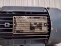 HORIZONTAL MOTORIZED CONVEYOR: STOCK #19562