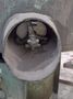 7 CUBIC FOOT X 48" SWECO MODEL #FMD7LR VIBRATORY BOWL PARTS FINISHER: STOCK #23140