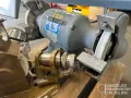 BALDOR 8250W Pedestal Grinder #7879 #1