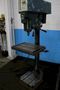 WILTON SINGLE SPINDLE DRILL: STOCK #75744