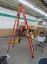Werner 10' Model NXT1A10 Fiberglass Ladder- Auction Item