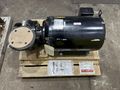 65 GPM X 3 HP LAKOS FILTRATION PUMP & STRAINER: STOCK #21909