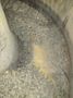 7 CUBIC FOOT X 48" SWECO MODEL #FMD7LR VIBRATORY BOWL PARTS FINISHER: STOCK #23140