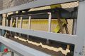 40" DIXIE PNEUMATIC PROFILE SHEAR: STOCK #63484