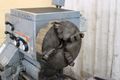 19"/28" X 60" LEBLOND GAP BED ENGINE LATHE: STOCK #68529