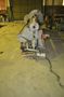 10' x 1/4" BERTSCH PLATE ROLL