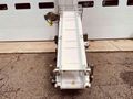 Safeline Mettler Toledo 62” Stainless Steel Incline Conveyor