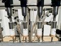 Cozzoli IFLM Four Headed Filler ||  Inline Fill-To-Level  ||  Manual Filler