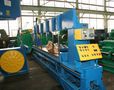 TANNEWITZ MODEL 6024MH VERTICAL BAND TYPE PLATE SAW: STOCK 59088