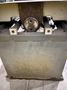 18" X 20" HYD-MECH MODEL #VW-18 VERTICAL BAND SAW w/ 45° MITER: STOCK #21928