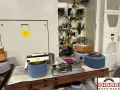 KAPP KX 300 P - Gear Grinder
