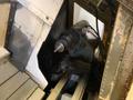 1998 MORI SEIKI CL-200B/500 CNC Lathe Stock #: 81089417
