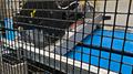 New ERWTech/UCG High Speed Flying Cold Saw