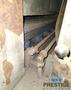 Steelmaster Profiline SMW 523, 37" Belt, (1) Abrasive Head, (7) Brush Heads, Machine Rebuilt, PLC Control, 2009, #31776
