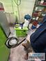 Engel e-insert 90 Rotary, 90 Ton Clamping Force, 13.8" Stroke, CC300 Control, RD 1600 Servo 2 Station RT,  2022, #43482