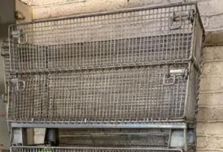 (16) 31" X 22" X 18.5" COLLAPSIBLE WIRE CRATES: STOCK #10784