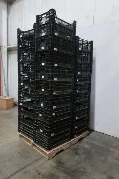 (800) 23" X 15" PLASTIC STORAGE TOTES / BASKETS: STOCK #20582