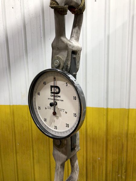 50,000 LBS X 10" DILLON AP SERIES DYNAMOMETER CRANE SCALE: STOCK #17244
