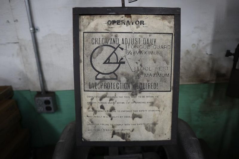 Apex Model 16-SDD 16" Industrial Double Disc Sander- Auction Item